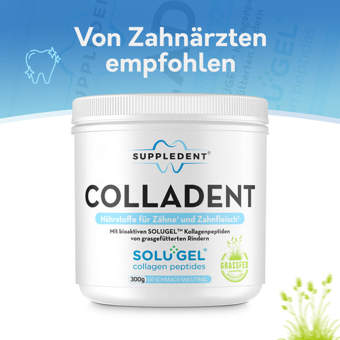 Premium-Zahnpflege im Doppelpack: Colladent & Dailydent