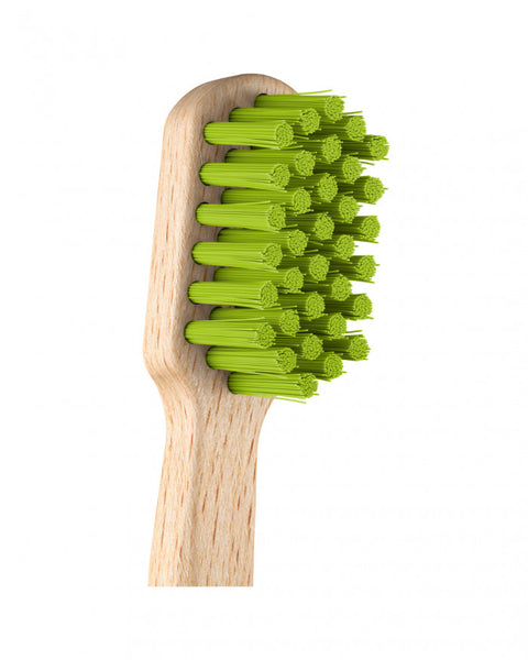 Holzzahnbürste Holz GRÜN